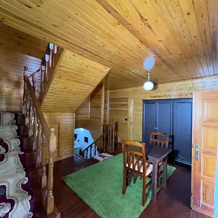 Kompleksi Zorgji Тети