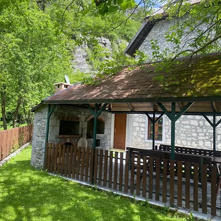 Kompleksi Zorgji * Тети