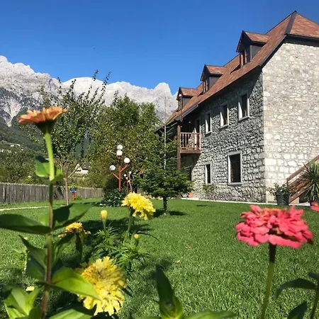 Resort Kompleksi Zorgji