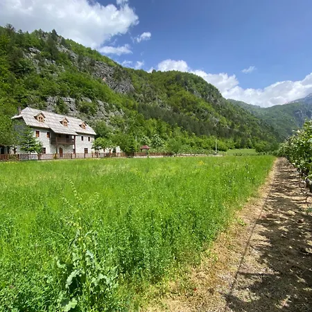 Kompleksi Zorgji