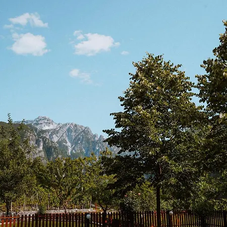 Resort Kompleksi Zorgji