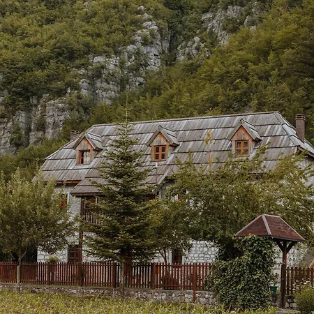 Kompleksi Zorgji