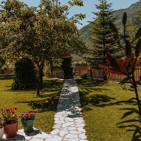 Resort Kompleksi Zorgji